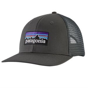 PATAGONIA P-6 Logo Trucker Hat Classic FITZ ROY LOGO Snap Back Forge Gray
